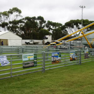 Semi-Permanent Sheep Yards