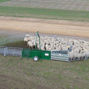 Single Axle Portable Sheep Yards