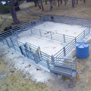 cattle yards small