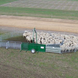 Australian Made Portable Sheep yard Custom Setup