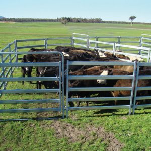 Semi-Permanent Cattle Yards