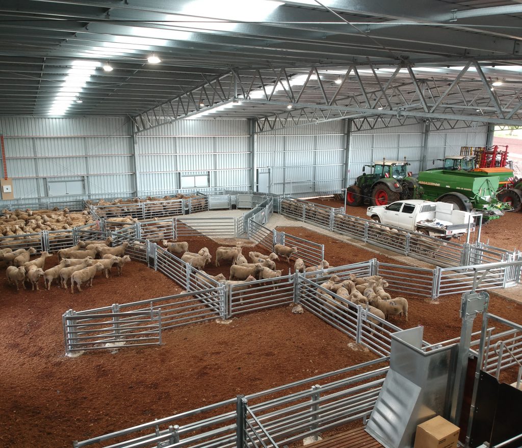 Mortlake VIC Indoor/Outdoor Sheep Yard