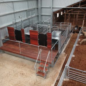 Modular Shearing Stand