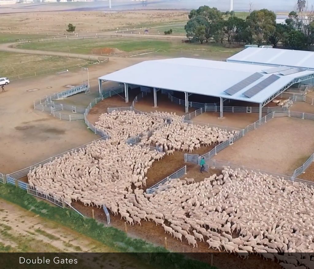 Lal Lal Estate Sheep Yard