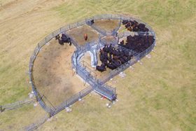 cattle-yard-narrikup-wa-featured