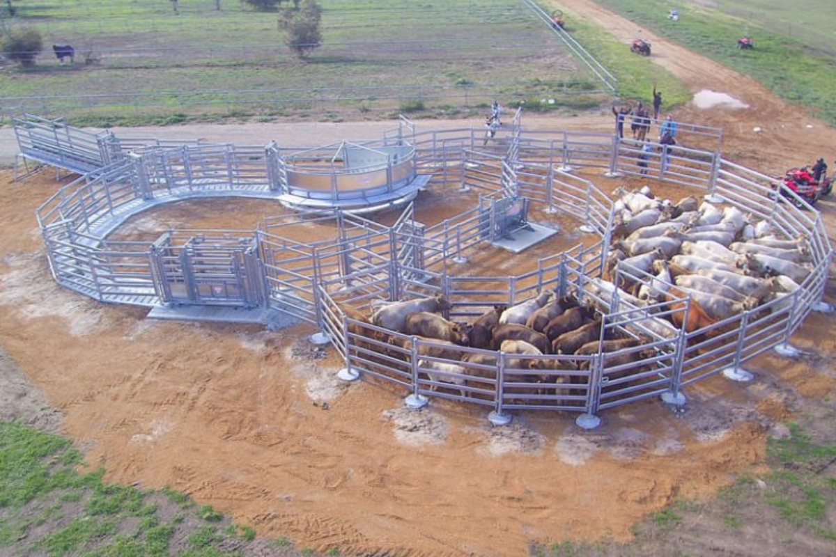 Northam WA Cattle Yard