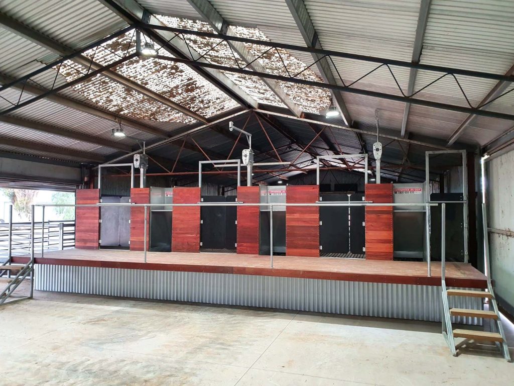 shearing-shed-fit-out-moolort-vic-1