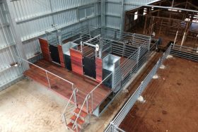 shearing-shed-mortlake-vic-featured