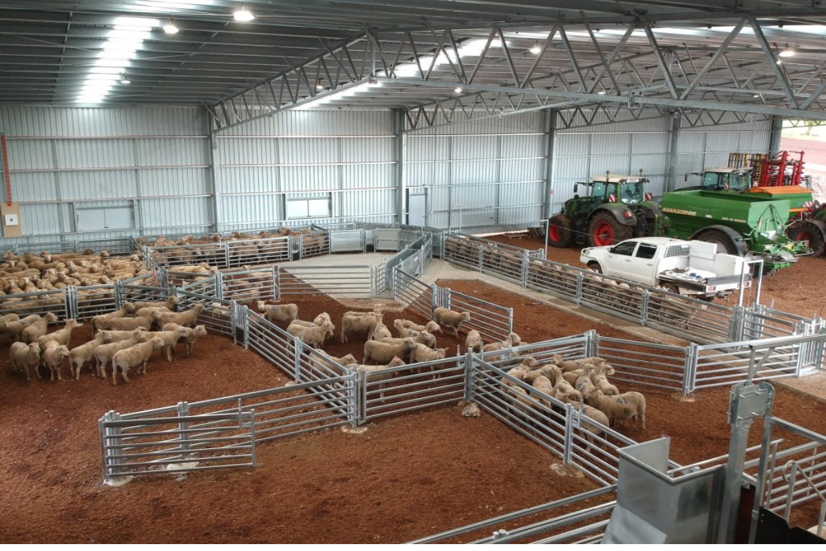 Mortlake VIC Indoor/Outdoor Sheep Yard