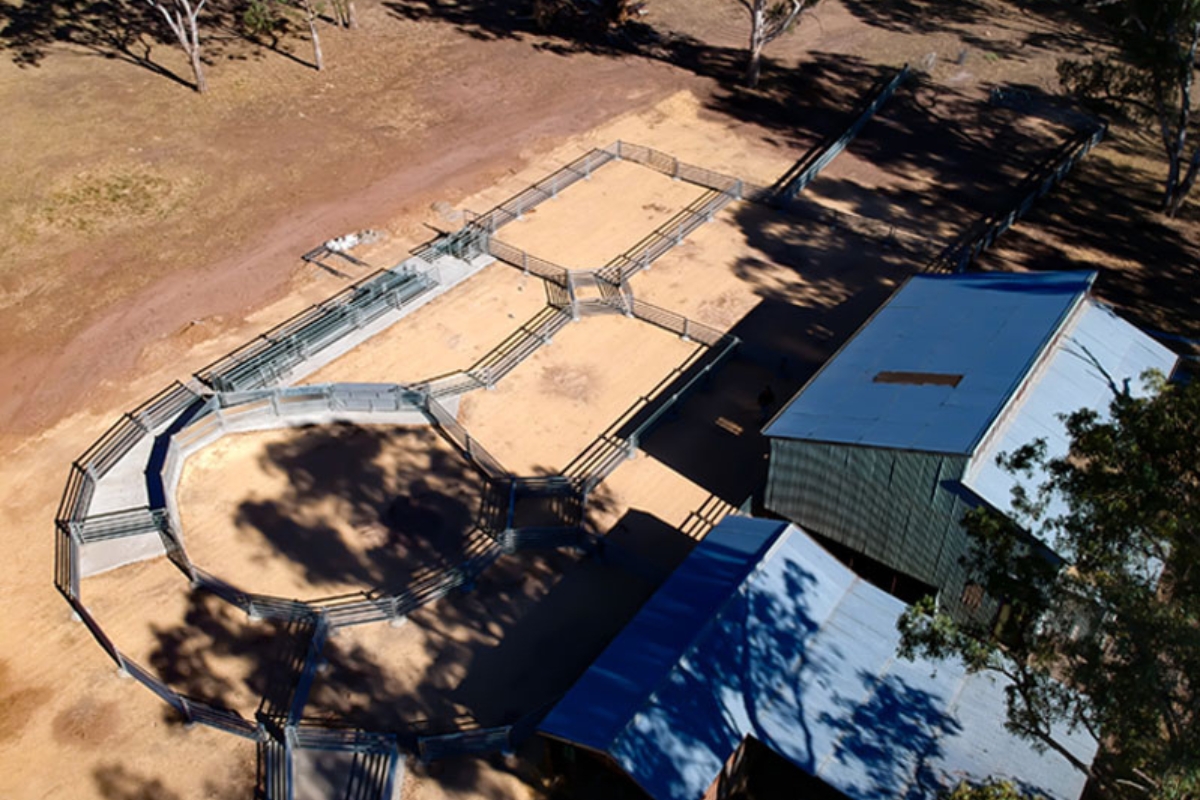 Naracoorte SA Sheep Yard